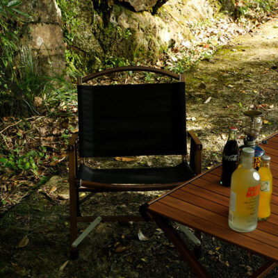 wood folding chair with stainless steel